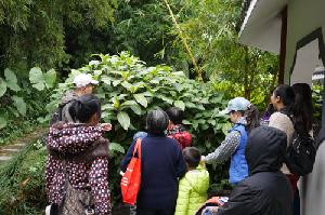 植物认知